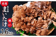 まいたけ 長五郎まいたけ かぶ500g×2個 ほぐし300g×2袋 合計1600g 1回分｜舞茸 まいたけ レシピ付き ジューシー ステーキ 天ぷら 炊き込みご飯 舞茸ご飯 ごはん きのこ 野菜 丸ごと 国産 無農薬 安全 安心 食物繊維 健康  カロリー 低い 産地直送 プレゼント ギフト 贈り物 群馬県 前橋市
