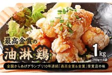 からあげ 「最高金賞の油淋鶏」1㎏(250g×4袋)  鶏モモ肉 | からあげ 唐揚げ 油淋鶏 鶏モモ肉 鶏肉 お取り寄せ グルメ 惣菜 お弁当 おかず 最高金賞受賞 選べる 群馬県 前橋市 