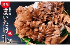 まいたけ 長五郎まいたけ かぶ 500g×2個 1回分｜舞茸 まいたけ レシピ付き ジューシー ステーキ 天ぷら 炊き込みご飯 舞茸ご飯 ごはん きのこ 野菜 丸ごと 国産 無農薬 安全 安心 食物繊維 健康  カロリー 低い 産地直送 プレゼント ギフト 贈り物 群馬県 前橋市