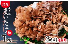 【3ヶ月定期便】まいたけ 長五郎まいたけ かぶ 500g×2個 3回分｜舞茸 まいたけ レシピ付き ジューシー ステーキ 天ぷら 炊き込みご飯 舞茸ご飯 ごはん きのこ 野菜 丸ごと 国産 無農薬 安全 安心 食物繊維 健康  カロリー 低い 産地直送 プレゼント ギフト 贈り物 群馬県 前橋市