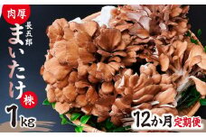 【12ヶ月定期便】まいたけ 長五郎まいたけ かぶ 500g×2個 12回分｜舞茸 まいたけ レシピ付き ジューシー ステーキ 天ぷら 炊き込みご飯 舞茸ご飯 ごはん きのこ 野菜 丸ごと 国産 無農薬 安全 安心 食物繊維 健康  カロリー 低い 産地直送 プレゼント ギフト 贈り物 群馬県 前橋市