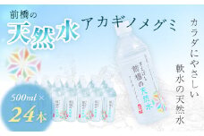 水 ミネラルウォーター 500ml 24本×1箱 24本 合計12L | 飲料水 みず ナチュラル ミネラルウォーター 天然水 軟水 長期保存 備蓄 防災  水 ミネラルウォーター ペットボトル 長期保存水 備蓄水 備蓄用 非常災害備蓄用 災害用 避難用品 防災グッズ 国産 群馬県 前橋市