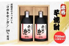 赤城の恵 芋焼酎25°  2本セット(720mlボトル×2本) | 酒 お酒 アルコール 焼酎 芋焼酎 赤城の恵 群馬焼酎 本格焼酎 国産焼酎 焼酎セット 地酒 前橋産 黄金千貫 さつまいも 焼酎ギフト 還暦祝い 家飲み お湯割り ロック お取り寄せ 群馬県 前橋市
