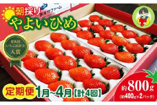 【2026年 先行予約】＜定期便1月～4月＞やよいひめ 400g × 2パック 800g 計4回 | コク 甘み 朝採れ やよいひめ 贈答用 新鮮 完熟 いちご 旬 苺 ストロベリー 産地直送 果汁 あまい 人気 高評価 美容 健康 旨味 高糖度 ごほうび 定期便 群馬県 前橋市