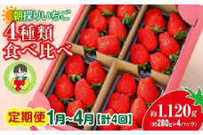【2026年 先行予約】 ＜定期便1月～4月＞ いちご 4種類食べ比べ 約280g×4パック 1120g 計4回 | コク 甘み 朝採れ やよいひめ ななか 恋みのり あまおとめ あすかルビー 贈答用 新鮮 完熟 いちご 旬 苺 ストロベリー 産地直送 果汁 甘い あまい 人気 高評価 美容 健康 旨味 高糖度 ごほうび 群馬県 前橋市