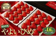 【2026年 先行予約】いちご やよいひめ400g×2 2箱 計1,600g｜朝採れ やみつき高品質 たっぷり 贈答用 新鮮 完熟 いちご 旬 苺 ストロベリー 高級 大粒 産地直送 果汁 甘い あまい 人気 高評価 減農薬 有機肥料 高糖度 ごほうび プレゼント 群馬県 前橋市