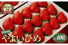 【2026年 先行予約】いちご 群馬県やよいひめ 約400g 1シート【群馬県いちご品評会最高金賞受賞！】｜朝採れ やみつき高品質 たっぷり 贈答用 新鮮 完熟 いちご 旬 苺 ストロベリー 高級 大粒 産地直送 果汁 甘い あまい 人気 高評価 減農薬 有機肥料 高糖度 ごほうび プレゼント 群馬県 前橋市