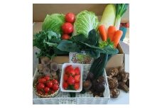 【6カ月定期便】赤城南麓で育った季節の野菜 | 野菜 野菜セット 新鮮 旬野菜 朝どれ 農家直送 旬 鮮度 赤城山麓 群馬野菜 国産野菜 詰め合わせ 野菜詰合せ おまかせ野菜 野菜便 お取り寄せ 産直野菜 群馬県 前橋市