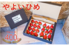 【2026年 先行予約】大粒完熟 群馬県産いちご「やよいひめ」400g×1 ｜コク 甘み 朝採れ やよいひめ 大粒 甘み 酸味 バランス 贈答用 新鮮 完熟 いちご 旬 苺 ストロベリー 産地直送 果汁 甘い あまい 人気 高評価 減農薬 美容 健康 旨味 高糖度 ごほうび 群馬県 前橋市