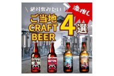 クラフトビール TENGOOD BEER　同一銘柄12本セット |  父の日 ビール お酒 クラフトビール 地ビール テングビール ペールエール アメリカンペールエール 瓶ビール オリジナルビール ホップ 柑橘 軽やか 清涼感 プレゼント ギフト 詰め合わせ 家飲み 宅飲み 晩酌 前橋市 群馬県