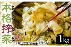 味付きザーサイ 1,000g×1袋 | 搾菜 国産 おいしい 本格中華 大容量 ザーサイ 中華 惣菜 つまみ お酒 ごはん お供 群馬県 前橋市