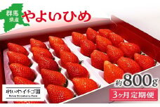 【2026年 先行予約】【3カ月定期便】 やよいひめ いちご 800g×3回 2月～4月発送  | 朝採れ やよいひめ たっぷり 贈答用 新鮮 特大 完熟 いちご 旬 苺 ストロベリー 高級 産地直送 果汁 甘い あまい 人気 高評価 減農薬 有機肥料 生産 生産量 産地 王国 高糖度 エコファーマー ごほうび プレゼント 群馬県 前橋市 