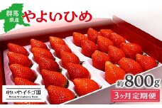 【2026年 先行予約】【3カ月定期便】 やよいひめ いちご 800g×3回 2月～4月発送  | 朝採れ やよいひめ たっぷり 贈答用 新鮮 特大 完熟 いちご 旬 苺 ストロベリー 高級 産地直送 果汁 甘い あまい 人気 高評価 減農薬 有機肥料 生産 生産量 産地 王国 高糖度 エコファーマー ごほうび プレゼント 群馬県 前橋市 