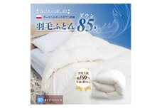 羽毛ふとん ポーランドダックダウン85％ セミダブル   | 寝具 布団 ふとん 羽毛布団 羽毛 綿 綿生地 ダックダウン ダウン ポーランド産 ポーランドダックダウン 手作り布団 日本製布団 日本製 手作り ふかふか布団 職人仕立て 軽い セミダブルロング 群馬県 前橋市