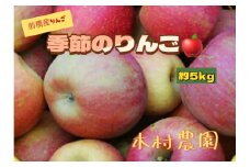 りんご 5kg｜さんさ あかぎ 陽光 ぐんま名月 ふじ リンゴ お取り寄せ ご当地 特産 産地直送 果物 フルーツ 季節 秋 冬 デザート おやつ 林檎 アップル 5キロ 2025年産 令和7年産 群馬県 前橋市