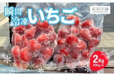 【先行予約】やよいひめ 冷凍いちご 2kg ｜ いちご やよいひめ スムージー アイス ジャム ひんやり 冷凍 群馬県産 れいわいちご園 れいわイチゴ園 れいわブドウ園 れいわぶどう園 群馬県 前橋市