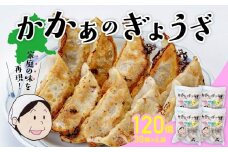 国産 無添加 かかぁのぎょうざ 120個セット (30個×4) | 餃子 えばらハーブ豚 ヘルシー ギョウザ  冷凍食品 お取り寄せ 点心 おかず おつまみ 惣菜 詰め合わせ 簡単調理 セット 中華料理 群馬県 前橋市