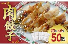 肉餃子 50個セット (10個×5袋) 冷凍 | 小分け 餃子 肉 ギョウザ 冷凍餃子 冷凍食品 時短 焼くだけ 子ども お取り寄せ 点心 おかず おつまみ 惣菜 詰め合わせ 簡単調理 セット 中華料理 群馬県 前橋市