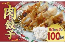 肉餃子 100個セット (50個×2袋) 冷凍 | 餃子 肉 ギョウザ 冷凍餃子 冷凍食品 時短 焼くだけ 大容量 子ども お取り寄せ 点心 おかず おつまみ 惣菜 詰め合わせ 簡単調理 セット 中華料理 群馬県 前橋市