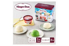 【15A004】　ハーゲンダッツ／ポピュラーセット