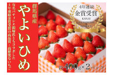 【15A049】　金井いちご園のいちご（やよいひめ）Aコース