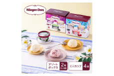 【16A002】　ハーゲンダッツ／マルチパックセット