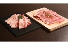 【19A003】　特選精肉ギフトセット/焼肉・生姜焼き用コース