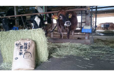 【22Ａ002】　大八木産　牧場の恵み米《10kg》