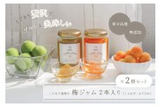 【22A041】　《希少品種で無添加》こだわり栽培の梅ジャム4本セット（しらかが・おりひめ各2本）