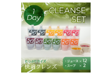 【24013】オーガニック野菜のコールドプレスジュース 「1-dayクレンズセット（ジュース12本、スープ2食）」