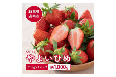 【24119】とっても甘～い大粒いちご！ぐんまが誇る『やよいひめ』250g×4パック