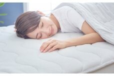 【24121P】　ZEPPINパイルの敷パッド【セミダブル】《プラチナ》