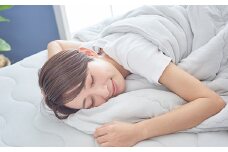【24126P】　ZEPPINパイルの肌掛布団【ダブル】《プラチナ》