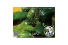 ＜2024年2月下旬より順次発送＞ひなたきゅうり　約2.5kg【1479904】
