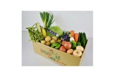 伊勢崎産＜採れたて！店長厳選！＞新鮮野菜詰合せ