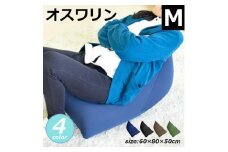 4582243747035 くつろぎクッション おすわりんMサイズ　カラー：グリーン ※沖縄・離島への配送不可