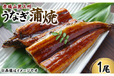 赤城山麓上州うなぎ　蒲焼　１尾　（150ｇ以上）