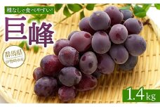 巨峰 1.4kg ※2025年8月下旬～9月上旬頃に順次発送予定 ※離島への配送不可
