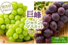 巨峰700g シャインマスカット400g 詰め合わせ ※2025年8月中旬～9月上旬頃に順次発送予定 ※離島への配送不可