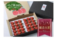 【いちご博総合大賞】やよいひめ 約800g※2026年1月上旬～4月下旬頃に順次発送予定