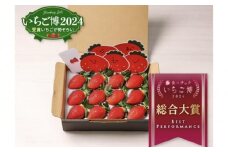 【いちご博総合大賞】やよいひめ 約400g※2026年1月上旬～4月下旬頃に順次発送予定