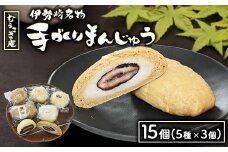 伊勢崎名物 むらさき庵の手作り まんじゅう 15個入り(5種×3個) | 花豆 酒まん 高菜 こしあん さつまいも※離島への配送不可