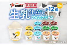 群馬県太田市　生乳仕立てアイスクリーム 12個セット_ アイスクリーム 生乳 セット スイーツ おやつ デザート 東毛酪農 バニラ チョコ 抹茶 人気 おすすめ 送料無料 贈答 ギフト プレゼント 【1223043】