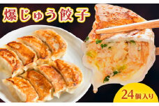 爆じゅう餃子　24個入り【1265789】