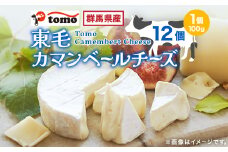 群馬県太田市　東毛カマンベールチーズ12個セット_ チーズ カマンベールチーズ 乳製品 人気 おすすめ 送料無料 ギフト 贈答 プレゼント 冷蔵 東毛酪農 群馬県 セット 国産生乳 【1296686】