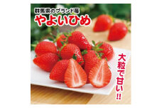 ＜2025年2月以降順次発送＞　群馬県産やよいひめ　(いちご)　260g×4パック【1378610】