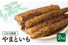 太田特産「やまといも」2kg×1箱【1402670】