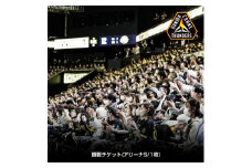 群馬クレインサンダーズ 2023-24シーズン 観戦チケット アリーナS 1枚【1417682】