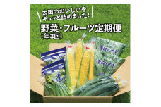 ＜発送月固定定期便＞太田のおいしいをギュッと詰めました!新鮮野菜定期便 全3回【4004670】