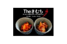 ＜武井のお漬物＞Theきむちセット 400g×2【1536857】